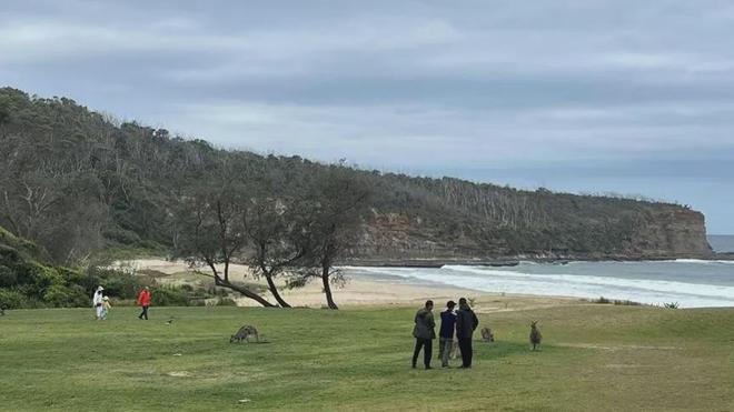 读城〕澳洲的川菜与火锅pg电子免费模拟器〔(图6) 读城〕澳洲的川菜与火锅pg电子免费模拟器〔(图6)