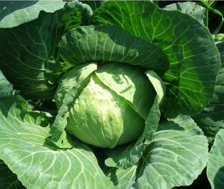 享两个妙招让你调制的蘸料一吃就上瘾pg电