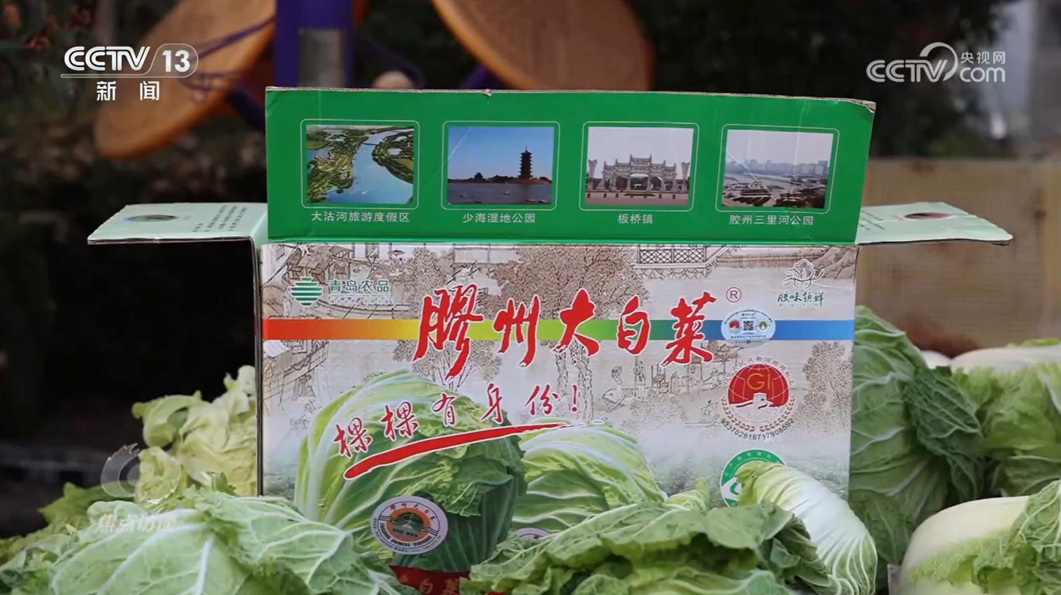 白菜”看地理标志保护这些坑千万别踩！pg电子娱乐平台焦点访谈 从“胶州大(图7)