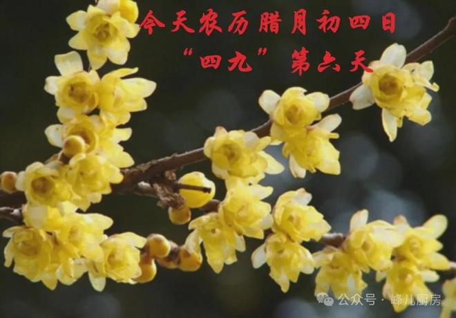 天记住“吃二样做一事”习俗安康过寒冬pg